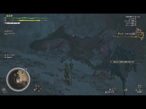 【MH:WILDS】ゴアステップ