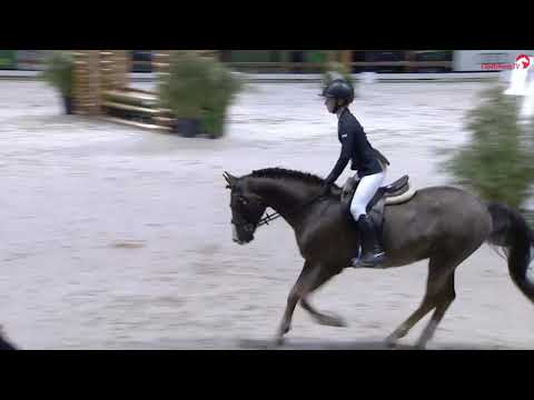 Hunter Jumper Equitation Femke Meenhuis