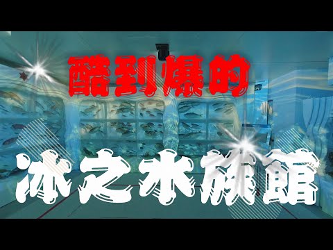 [跟著威哥走就對了] 從沒看過這種水族館、冰塊裡面竟然放這種東西、日本宮城縣好好玩