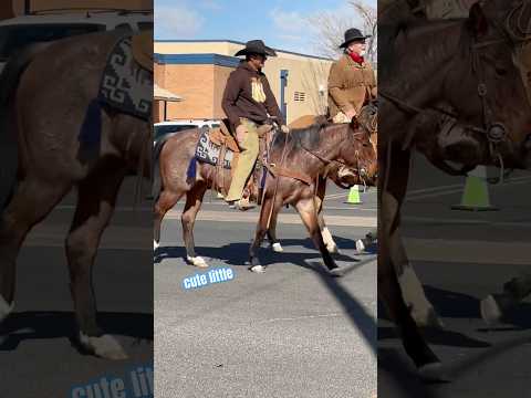 Sheriff’s Posse Pony Express