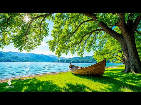 Beautiful Relaxing Music - Soothing, relaxing music reduces stress and stops thinking too much