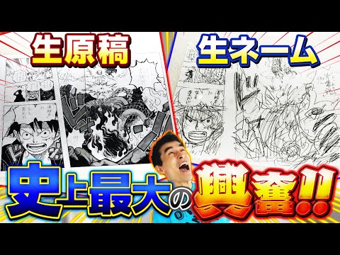 【生原稿・生ネーム】「ONE PIECE ONLY」展をレポート！【仲間がいるよTube!!!!】