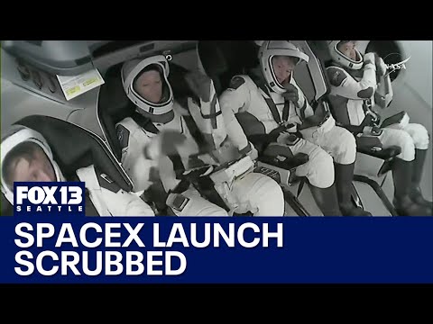 NASA scratches SpaceX Crew-10 rocket launch | FOX 13 Seattle