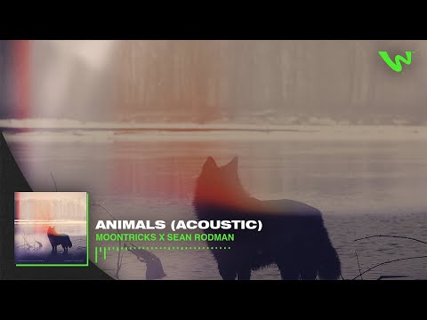 Moontricks - Animals (Acoustic)