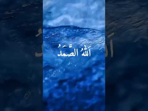 Surah Ikhlas #surahikhlas #quran #islamicvideo #beautifulquranrecitation #holyquranforall #ytshorts