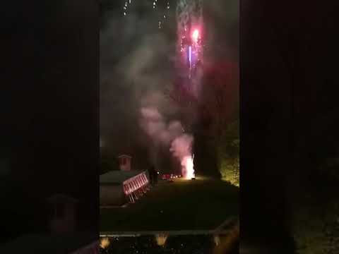 Firework