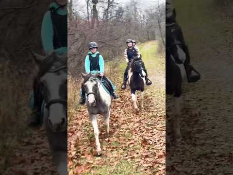 Nothing Like Good Trail Horses!!!