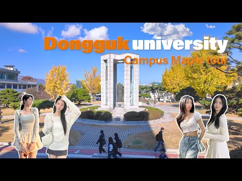 🍁🍂 동국대 캠퍼스 가을 단풍 투어 | Dongguk University Maple Tour | 4k HDR | KOREA College