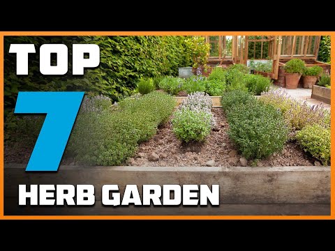 7 Best Herb Garden Ideas for Small Spaces