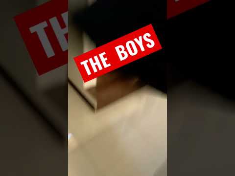 THE BOYS meme