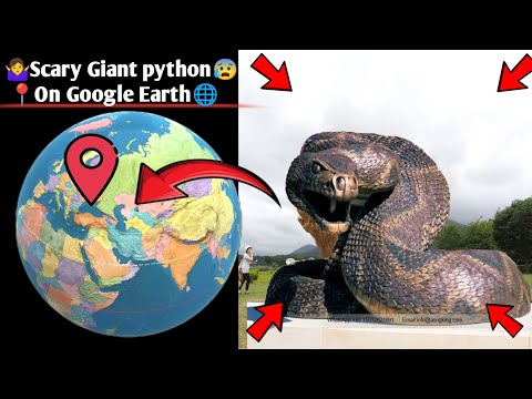 🐍😳scary Giant Python found on google earth and google map 🌍#map #googleearth #earthpromax