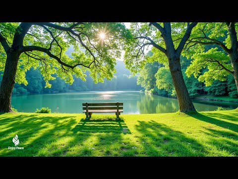 Healing Harmony: Music for the Heart 🌿 Relaxing music to reduce stress