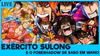 SABO EM WANO 987% CONFIRMADO! KAIDO VS MINKS SULONG