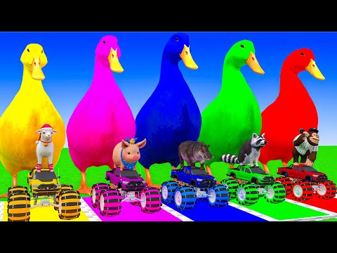 5 Giant Duck Cartoon Cow,Tiger,Elephant,Dinosaur,Lion, Wild Animals Choose The Right Mystery Door !