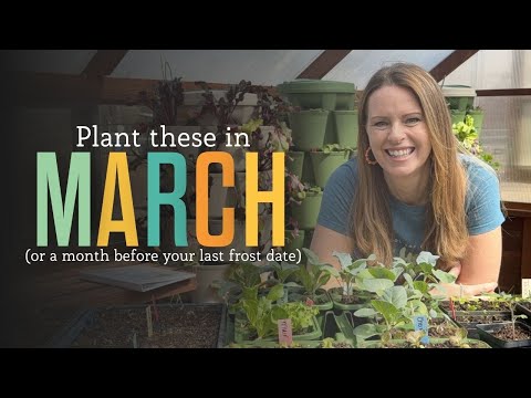 Everything I’m Planting in March + Filling New Raised Beds!