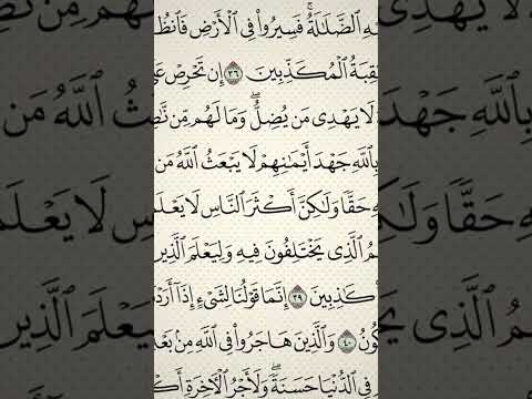 استمع للقران الكريم فهذا كلام الله 🌹#استمع_القران_1 #انشر_القران_1 #دعم_المحتوي_الديني