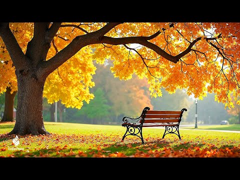 Beautiful Relaxing Music 🍁 Stop Overthinking, Stress Relief Music With Autumn Melodie #4