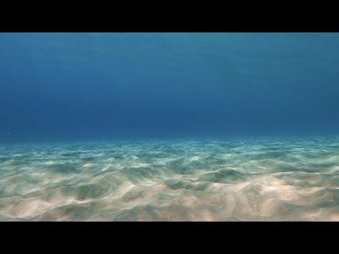 8 Hours - Relaxing Underwater Ocean Sounds | Great Escapes