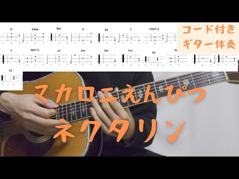 【ギターコード付き】マカロニえんぴつ/ネクタリン【アコギ弾いてみた】