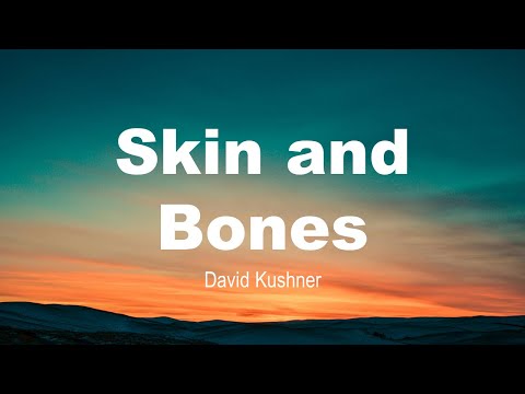 Skin and Bones | David Kushner | Deep Records | Lyrics