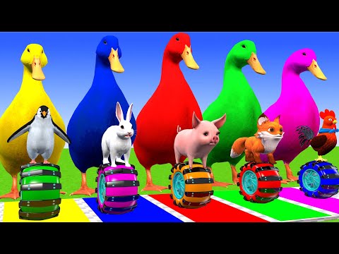 5 Giant Duck Cartoon, Paint & Animals Lion, Gorilla, Bear,Tiger , Cow Wild Animals Crossing Fountain