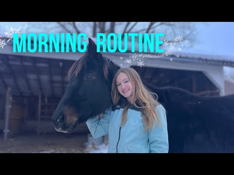 Winter 2024 Morning Routine With 50+ FARM ANIMALS