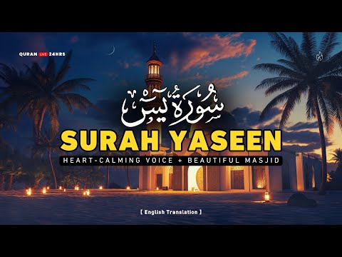 Surah Yaseen (Yasin) سورة يس | Heart Calming Ramadan Quran Recitation