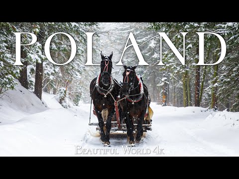 Poland 4K - Captivating Winter Beauty of Tatra Mountains and Bialowieza Forest - Piano Relaxing