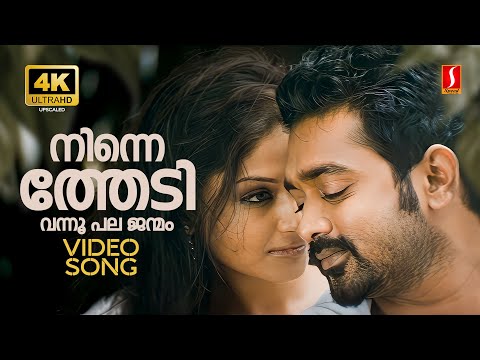 Ninne Thedi 4K Video Song | Scene Onnu Nammude Veedu | Asif Ali | Shritha | Haricharan | Saindhavi