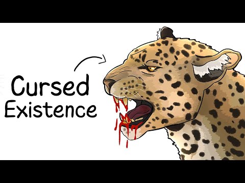 Why it Sucks to Be Born as a Leopard