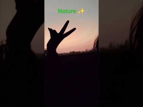 #naturephotography💞💞 #sunsetview🤘 #status_video #song#punjabi 😍#trending 😎