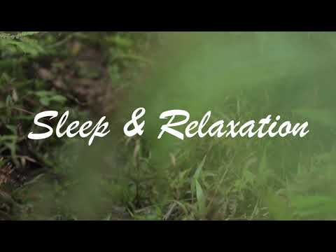 Soulful Breeze,  Track#1 (Sleep & Relaxation Composition)