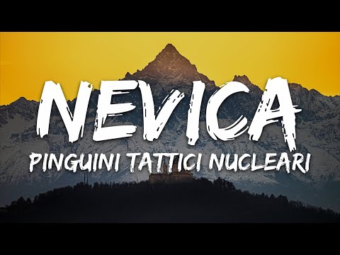 Pinguini Tattici Nucleari - Nevica (Testo/Lyrics)