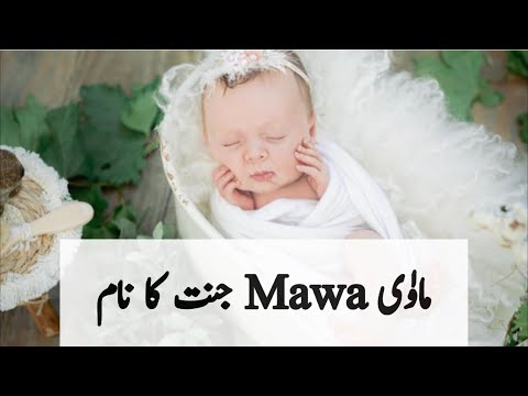 Pakistani Most popular baby girl names | Islamic name with meanings in urdu | cute baby name list