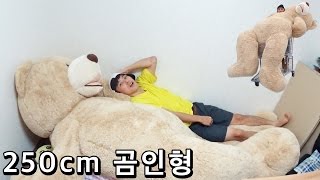 250cm 곰인형 (Giant Teddy Bear) - 허팝