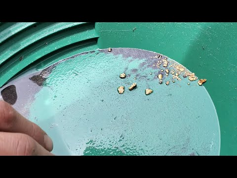 Panning for Gold In the California Mother lode.