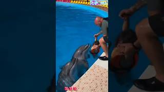 Dolphin 🐬 fish beautiful moment #shortsfeed #dolphin #youtubeshorts