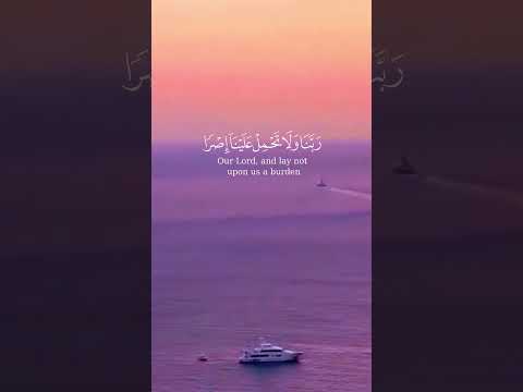 Surah Al-Baqarah #shorts #innerpeace #quranrecitation #quranayat #quranverse#surahalbaqarah #