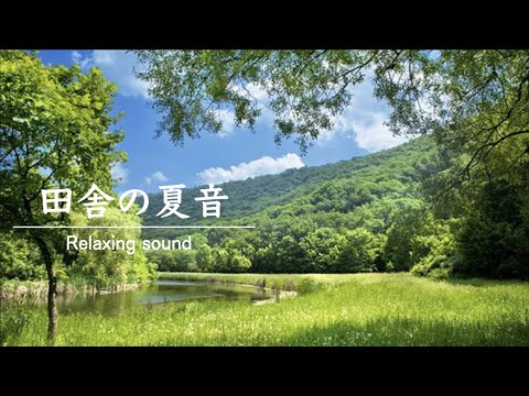 [ASMR/環境音]・田舎の音・夏の音・ひぐらしの鳴き声・作業用BGM・Japanese summer