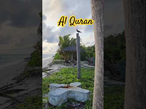 Quran translation #backtonature #nature #islamicprayer #beautiful #ytshorts