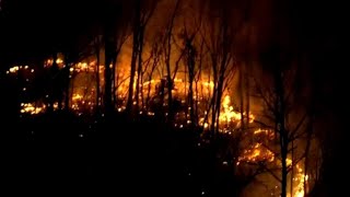 WATCH: Wildfire burning in Franklin Township, New Jersey