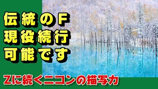 【nikon z】ニコンFレンズからZレンズへ【ニッコール】