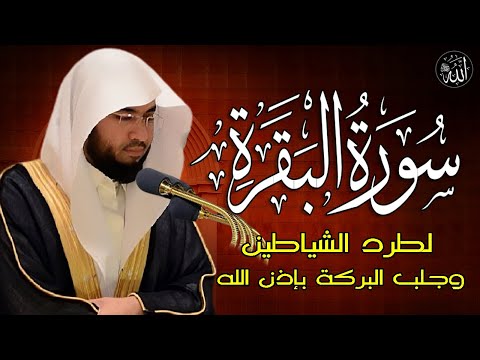 سورة البقرة لحفظ وتحصين المنزل وجلب البركة من أروع التلاواتSourah Baqara