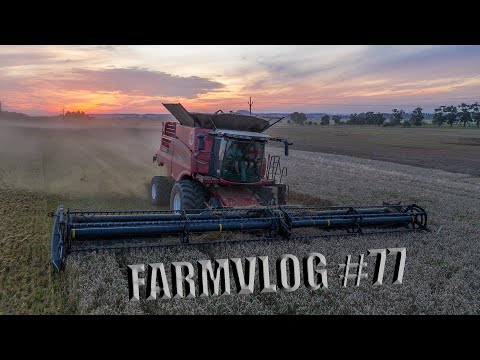 FARMVlog #77 - Sklizeň pšenice ozimé s CASE IH Axial-Flow 9240