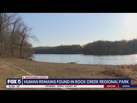 Scattered human remains found in Montgomery County park