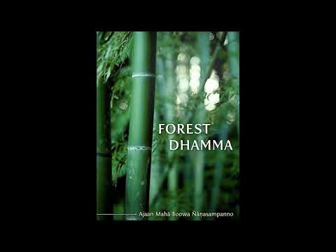 Forest Dhamma Part 08 : A Talk on Dhamma