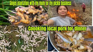 Cooking local pork for dinner ||Ginger plantation with my mom for my pickle business ||villagelife