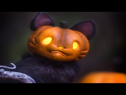 I Made A Jack O’ Lantern…But It’s Also A Cat l DIY Art Doll