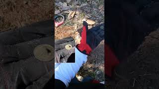 Metal Detecting-Chasing Civil War Relics on this Plantation Site ! #relichunting