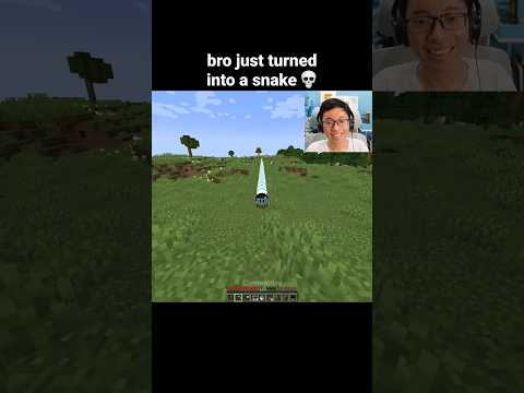 Minecraft Snake Moment